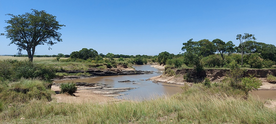 am Ntiakatek Fluss, Masai Mara