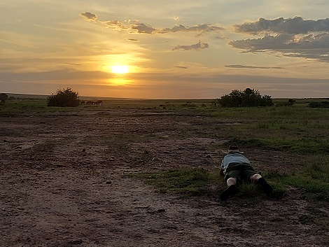 Elefanten im Sonnenuntergang