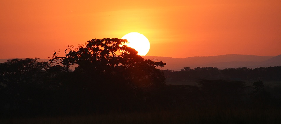 Sonnenaufgang in der Masai Mara