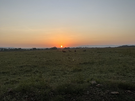 Sonnenaufgang in der Masai Mara
