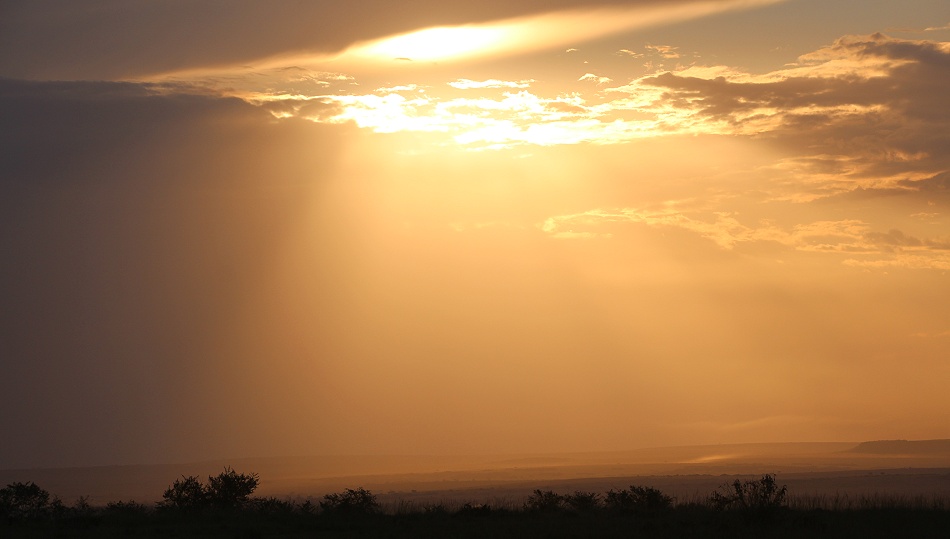 Sonnenuntergang in der Masai Mara