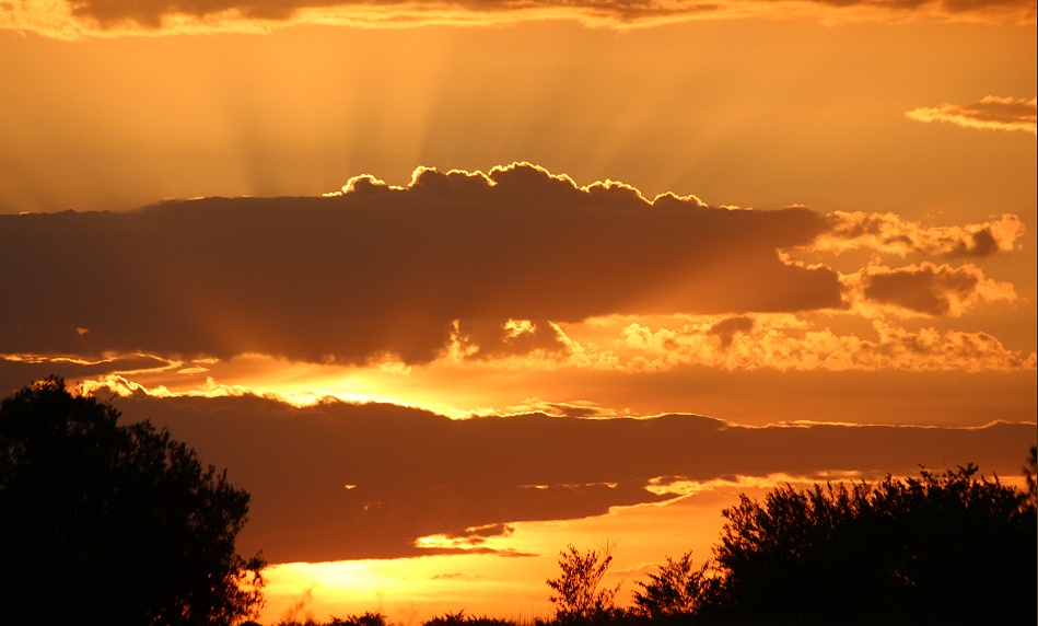 Sonnenuntergang in der Masai Mara
