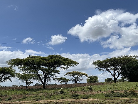 unterwegs in Kenya