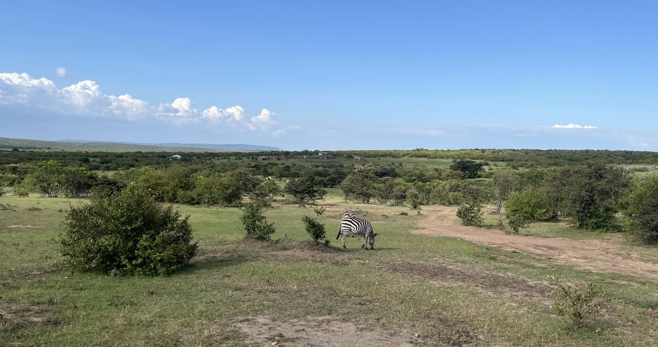 Masai Mara