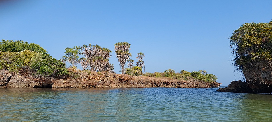 Mbuyu Beach Bungalows - Msambweni - Kenya Südküste