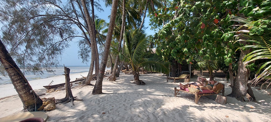 Mbuyu Beach Bungalows - Msambweni - Kenya Südküste
