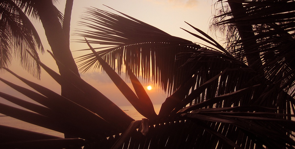 Mbuyu Beach Bungalows - Msambweni - Kenya Südküste