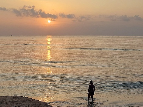 Mbuyu Beach Bungalows - Msambweni - Kenya Südküste