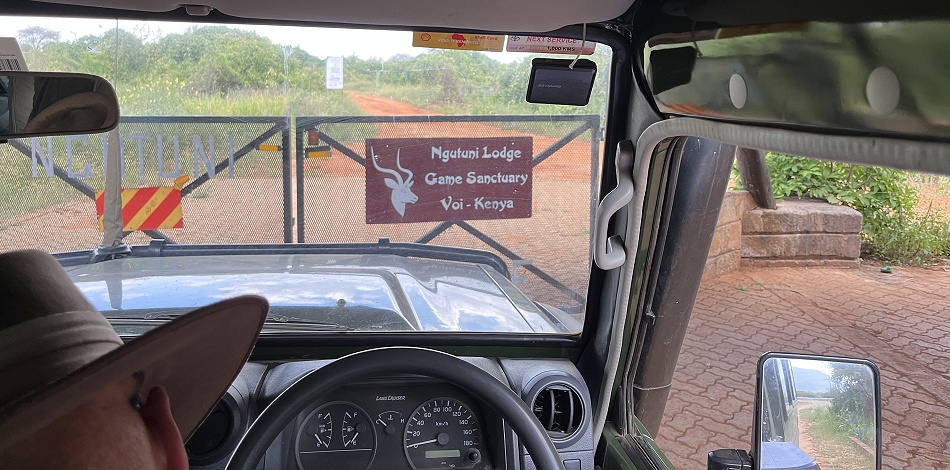 Ngutuni Lodge und Reservat - Tsavo Gebiet