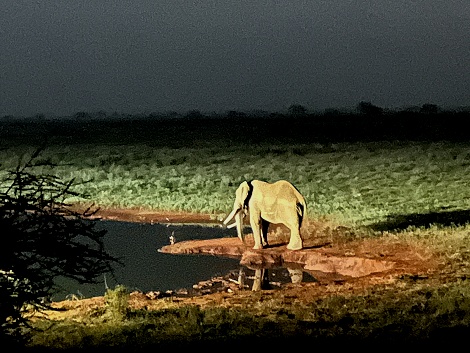 Ngutuni Lodge - Ngutuni Reservat - Tsavo Gebiet