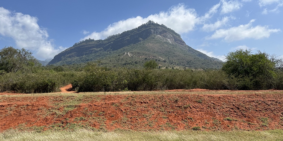 Taita Hills