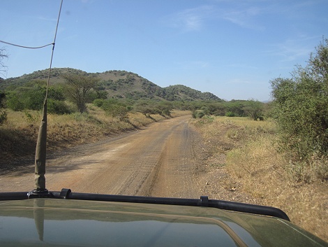 auf Pirschfahrt im Tsavo West National Park