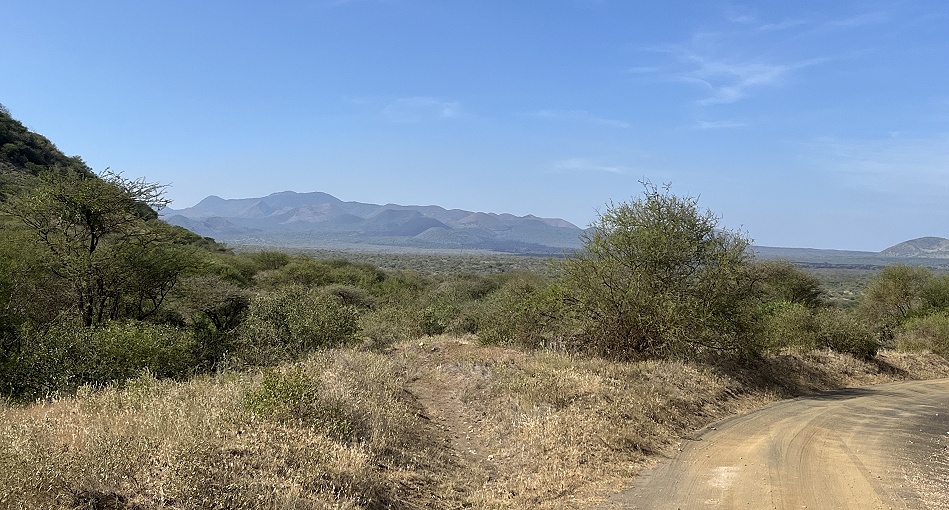 auf Pirschfahrt im Tsavo West National Park
