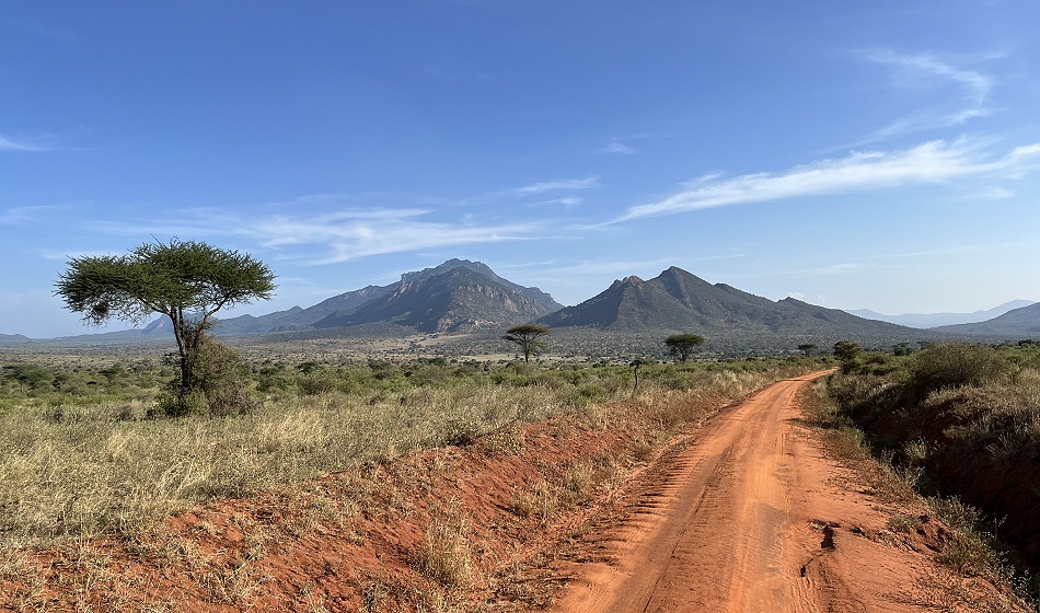 auf Pirschfahrt im Tsavo West National Park