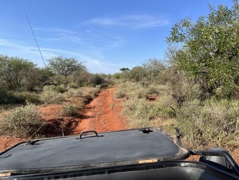auf Pirschfahrt im Tsavo West National Park