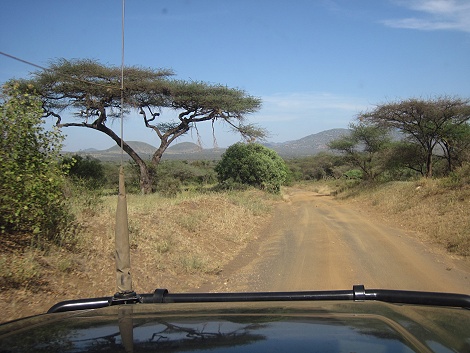 auf Pirschfahrt im Tsavo West National Park