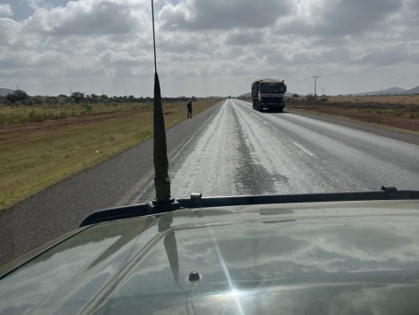 Rote Elefanten am Nairobi - Mombasa Highway
