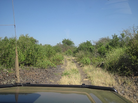 Auf dem Weg in Richtung Amboseli National Park