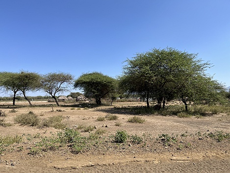 Auf dem Weg in Richtung Amboseli National Park