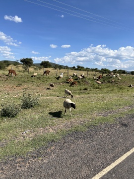 Anfahrt in die Masai Mara