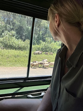 Anfahrt in die Masai Mara