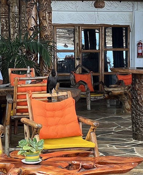Eis im Yuls und Drinks im Ziwa, kleiner Abstecher an den Bamburui Beach - Kenya Nordküste