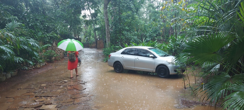 November ist Kleine Regenzeit, heftiger Schauer am Boko Boko Porini Guesthouse