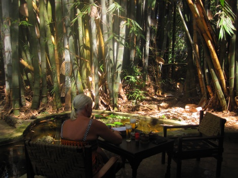 20 Meter hoher Bambus vor der Terrasse unseres Bungalows, Boko Boko Guesthouse