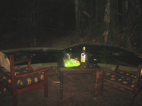 wenn es Abend wir im Boko Boko lauschen wir dem Konzert der Fr&ouml;sche