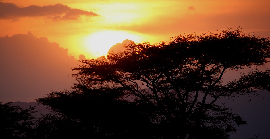 Sonnenuntergang im Buffalo Springs Reservat