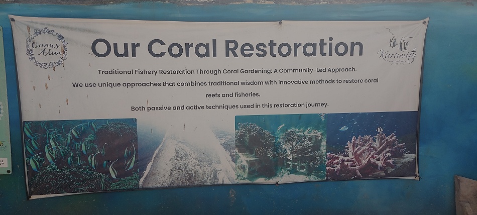 Schnorcheln am Kuruvitu Beach - Vipingo