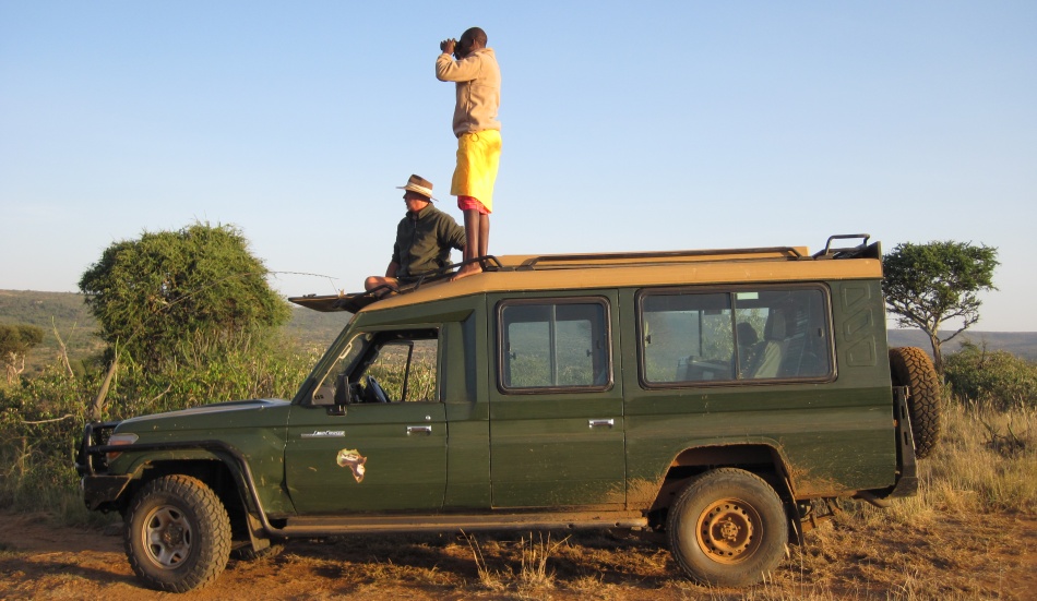 auf der Suche nach dem schwarzen Panther / Leopard; Giza