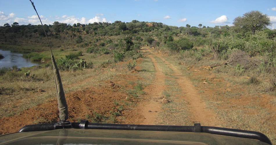 Im Revier der schwarzen Leopardin Giza, Laikipia