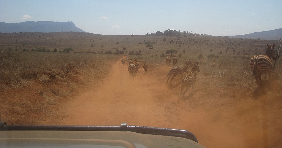 Pirschfahrt im Lumo Reservat