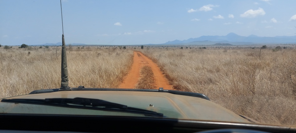 viel trockenes Gras, Lumo Conservancy Oktober 2025