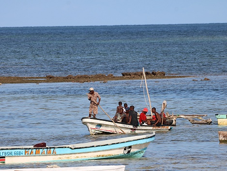 Die Fischer kommen mit ihrem Fang zur&uuml;ck an den Msambweni Beach, Mbuyu Beach Bungalows