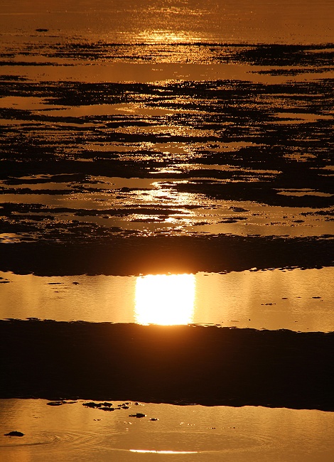 Sonnenaufgang am Msambweni Beach, an den Mbuyu Beach Bungalows