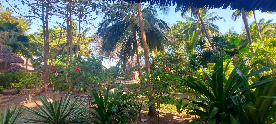 Mbuyu Beach Bungalows