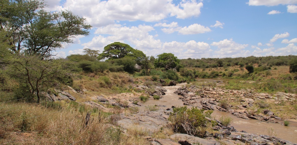 Ol Gaboli Camp am Ufer des Ewaso Ngiro, Laikipia