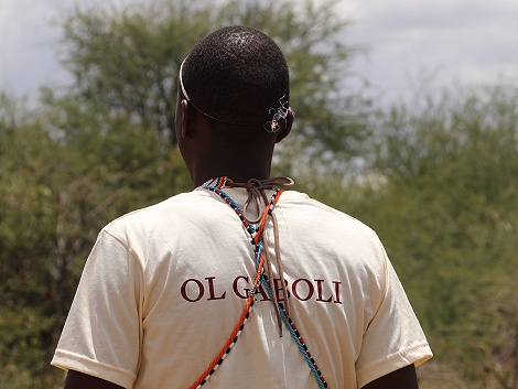 Ol Gaboli Camp - Laikipia
