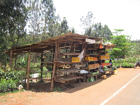 auf dem Weg in Richtung Mount Kenya