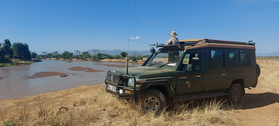 Nilkrokodile auf einer Sandbank im Ewasi Ngiro