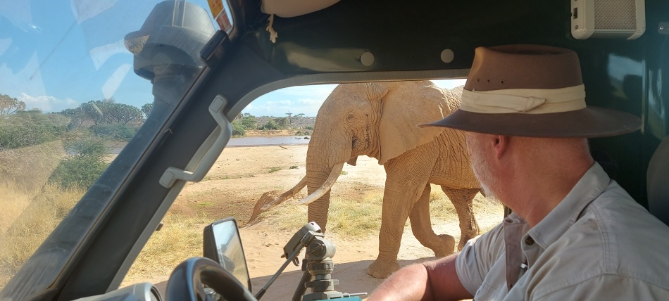 Elefantenbegegnung im Samburu Reservat