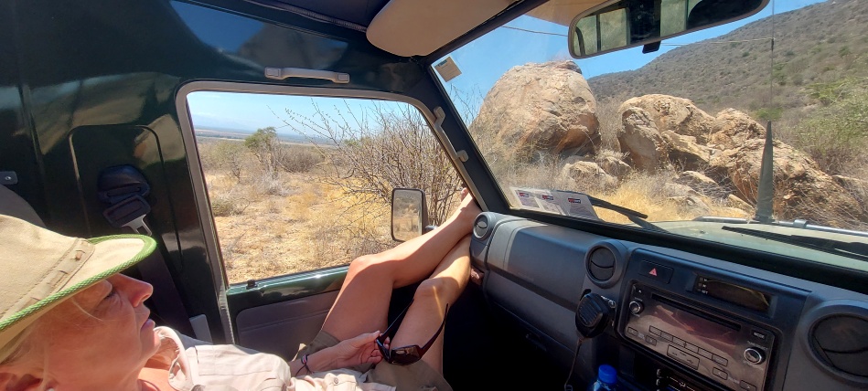 warten auf den Leopard