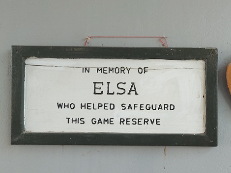 am Samburu Reservat Gate