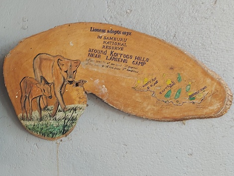 am Samburu Reservat Gate