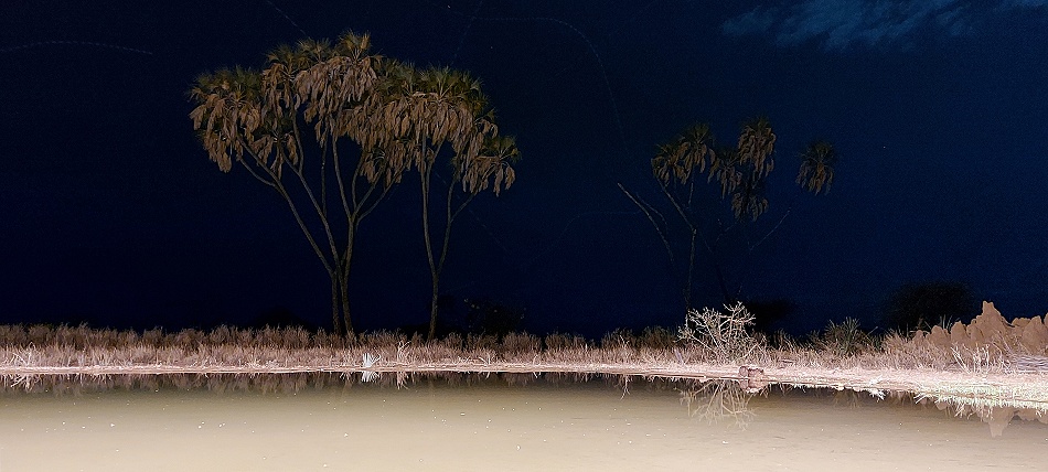 Nachts im Soroi Larsens Camp Photo Hide