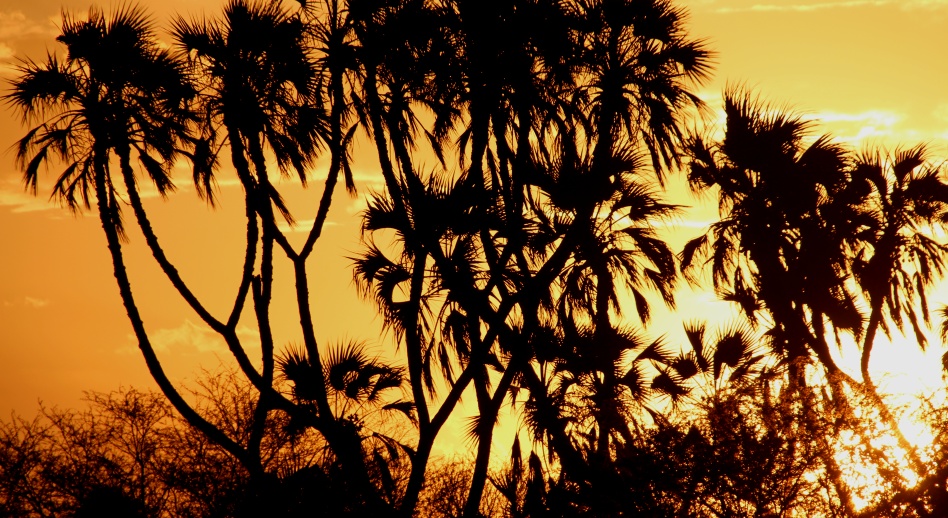 Sonnenuntergang im Samburu Reservat
