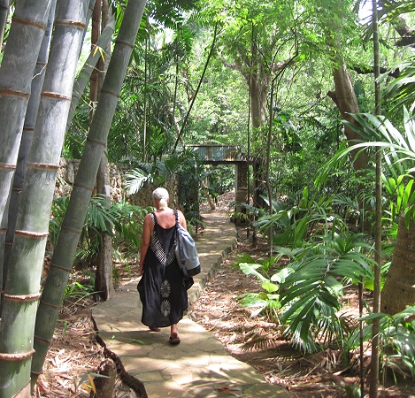 im Garten des Boko Boko