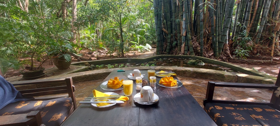 Frühstück auf der Terrasse vor unserem Bungalow im Boko Boko